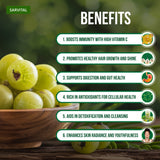 Amla Powder