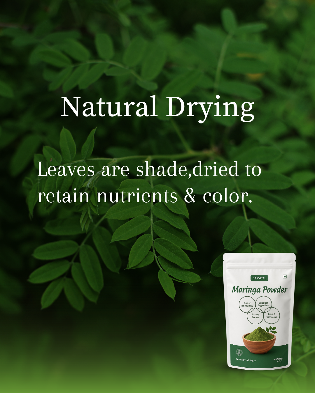 SARVITAL Moringa Benefits