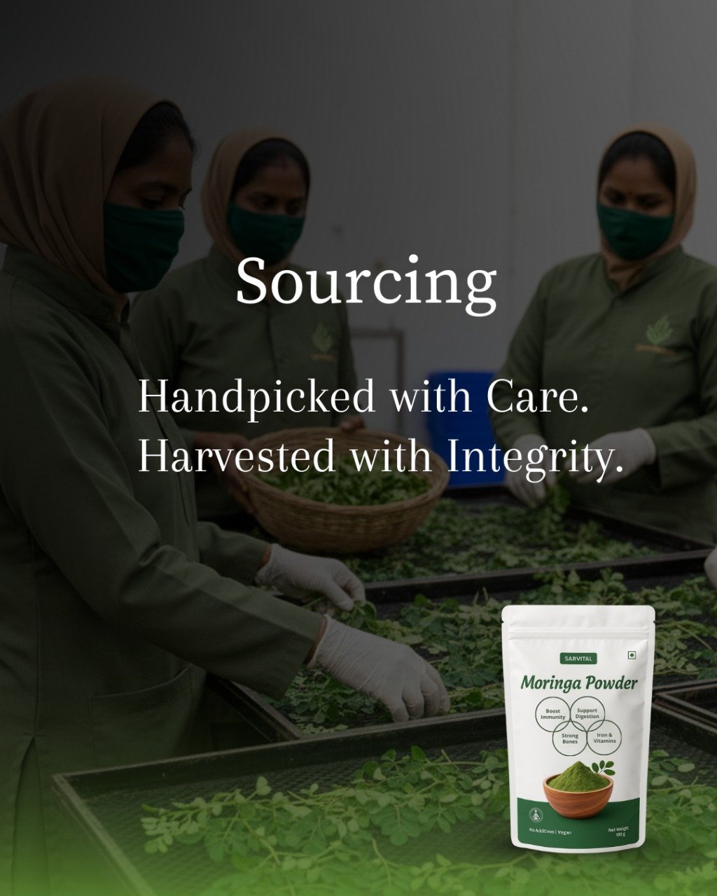 SARVITAL Moringa Leaf Powder